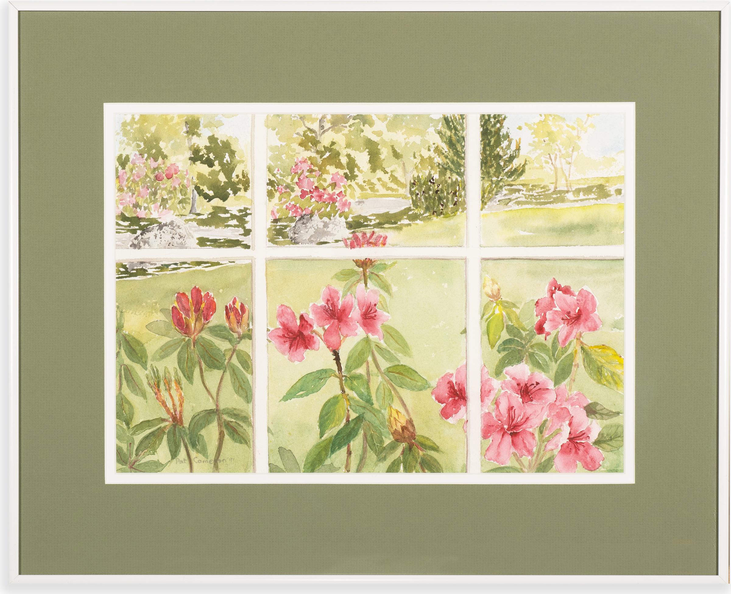 Pat Cameron - View from the Window