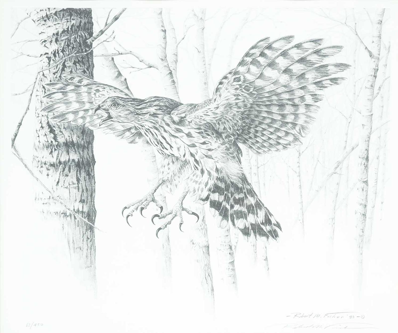 Robert M. Fisher - Untitled - Cooper's Hawk  #63/450