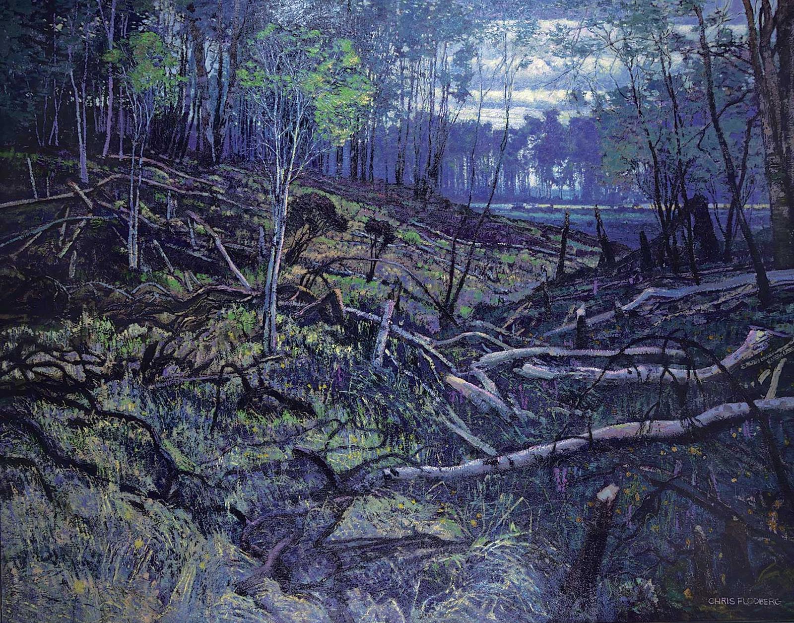 Chris S. Flodberg - Burnt Landscape