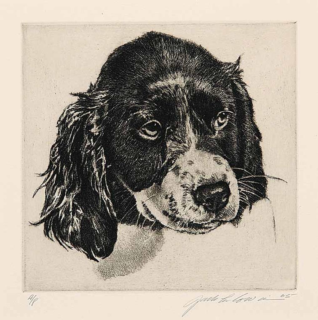 Jack Lee Cowin (1947-2014) - Untitled - Cocker Spaniel Puppy  #A/P