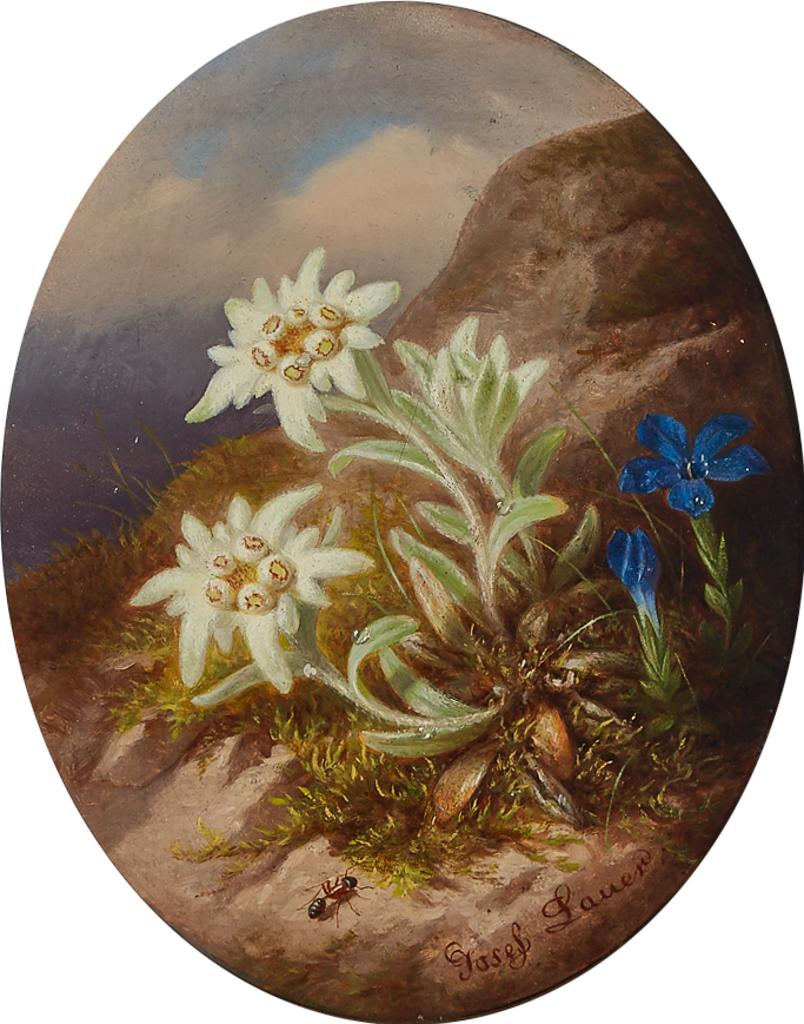 Josef Lauer (1818-1881) - Edelweiss And Ant On A Bank