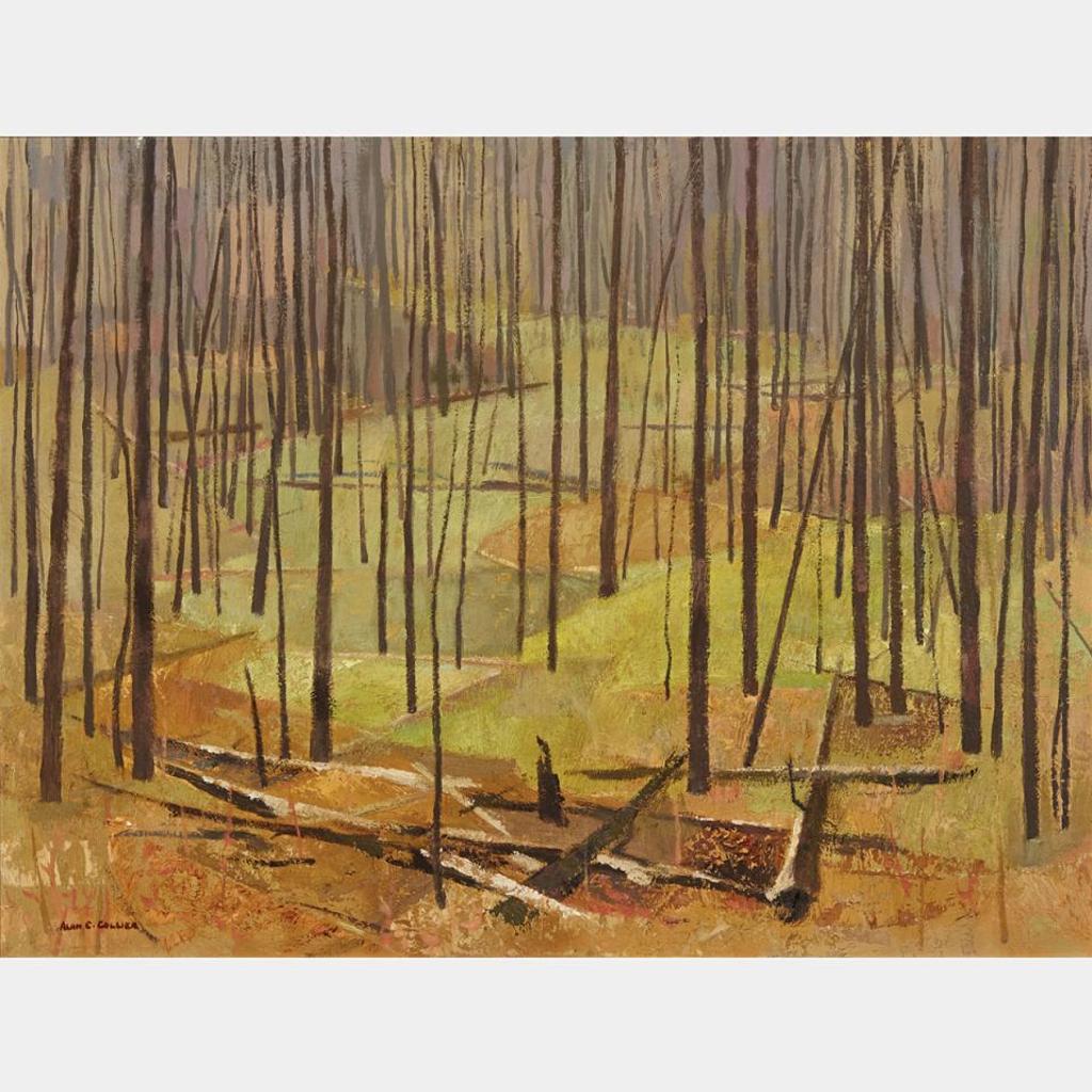 Alan Caswell Collier (1911-1990) - Wilderness Woodland