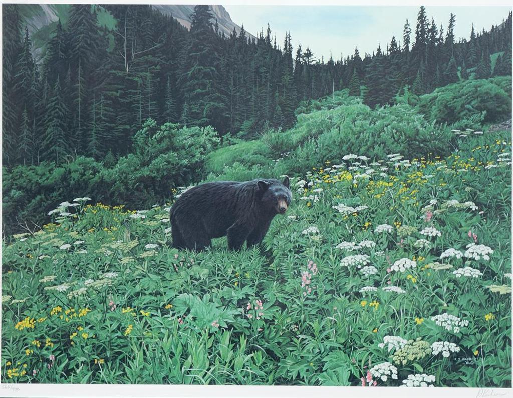 Ron S. Parker (1942) - Old Man of the Mountain - Black Bear