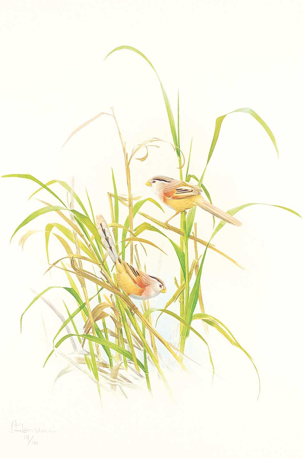 James Fenwick Lansdowne (1937-2008) - Untitled - Birds in the Grass  #19/100
