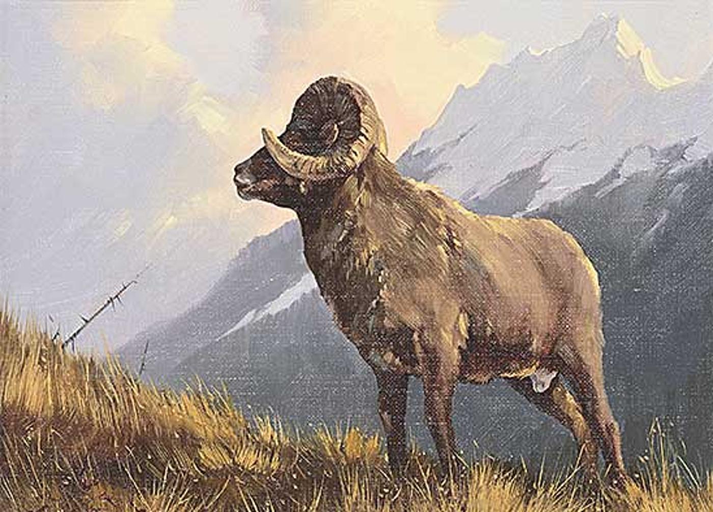 Karl E. Wood (1944-1990) - Bighorn