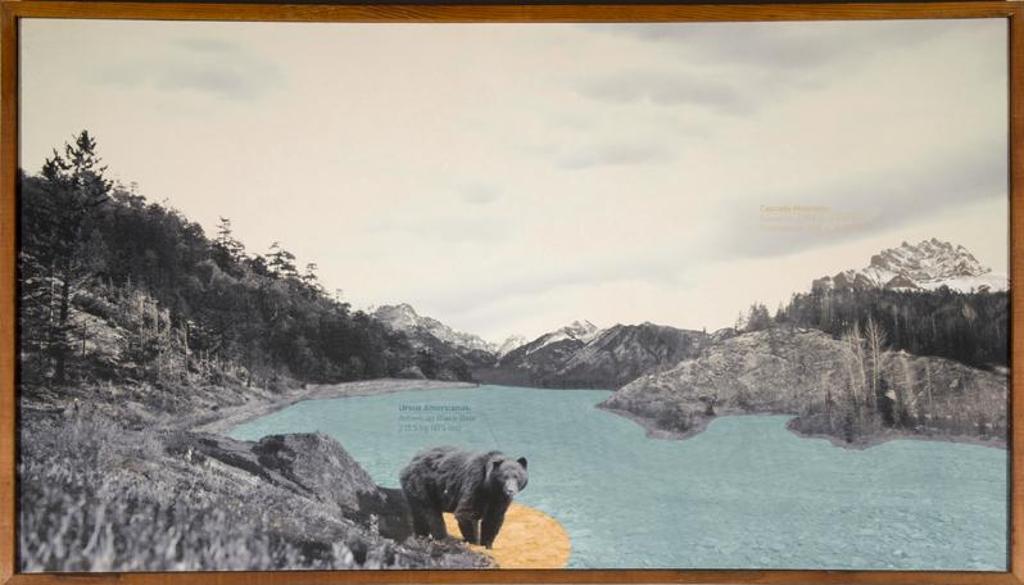 Derek Dix - Animalia Canadiana-Ursas Americanus; 2011