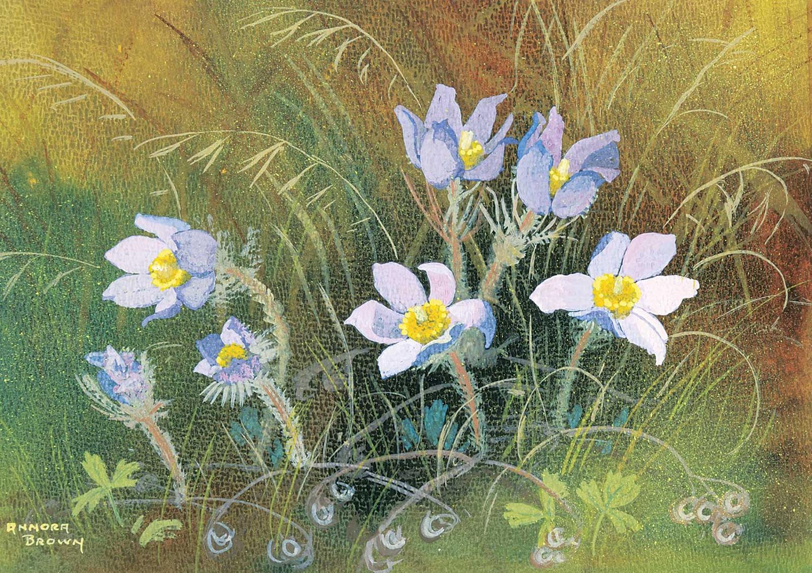 Annora Brown (1899-1987) - Untitled - Prairie Anemone