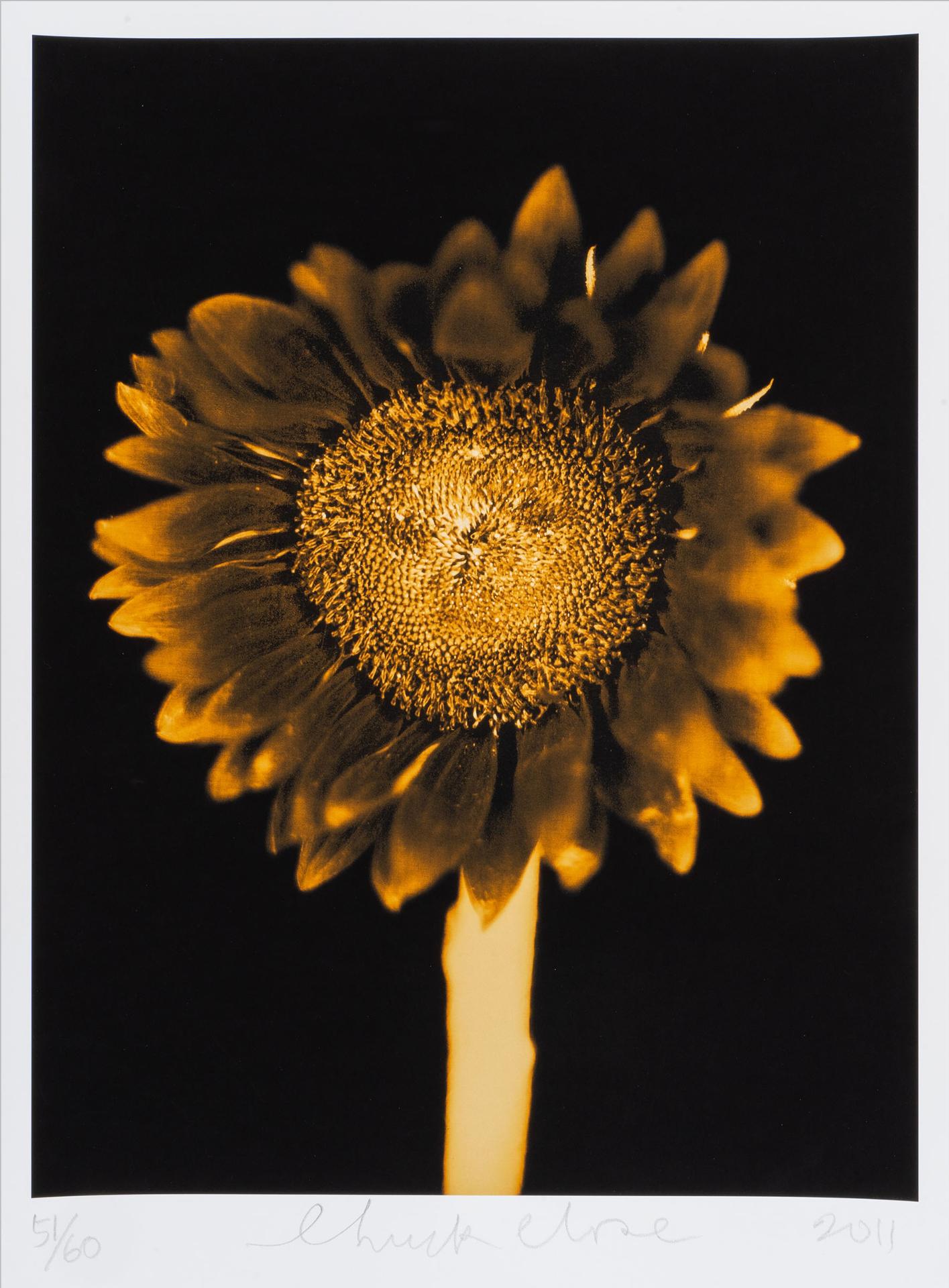 Chuck Close - Untitled (Sunflower), 2011