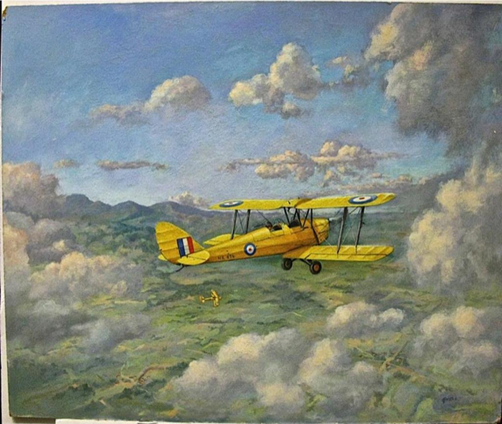 Colin G. Pattle - De Havilland Tiger Moths