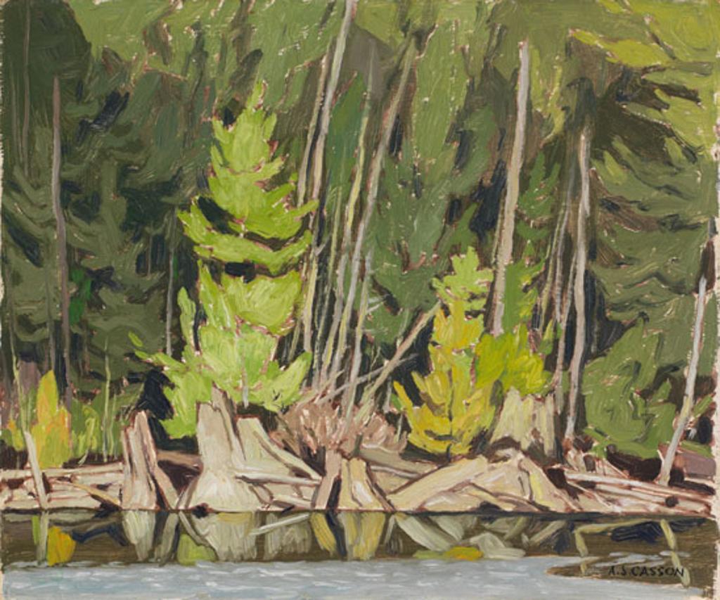 Alfred Joseph (A.J.) Casson (1898-1992) - Driftwood, Clarendon Lake