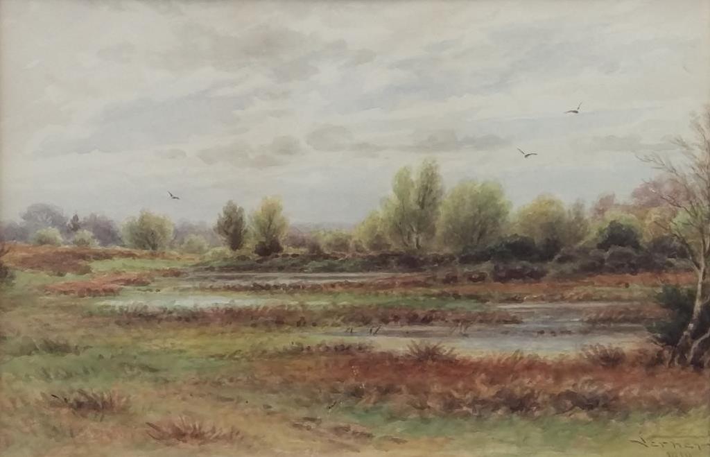 Frederick Arthur Verner (1836-1928) - Marsh, 1910