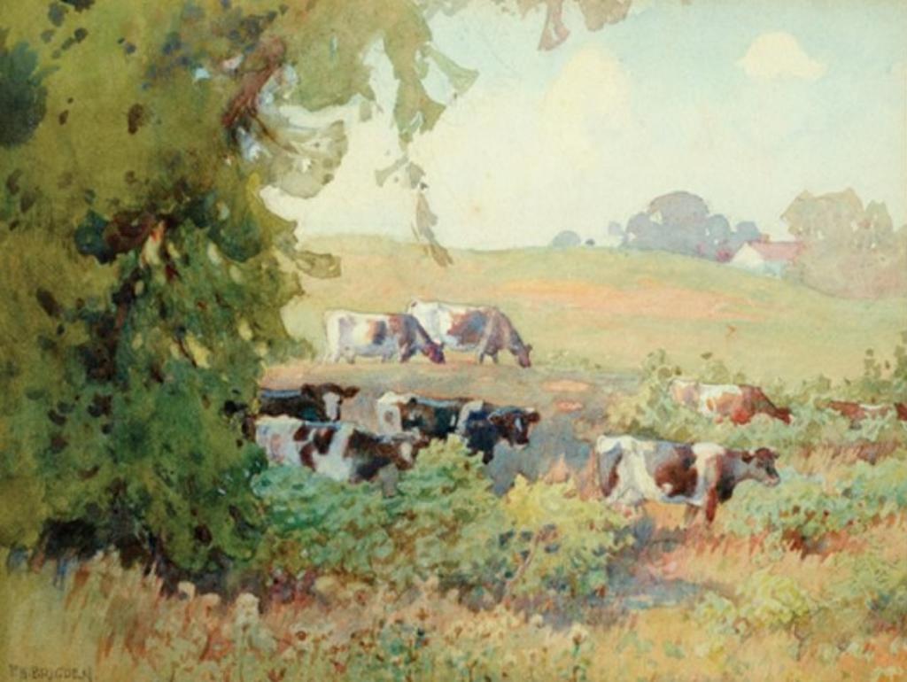 Frederick Henry Brigden (1871-1956) - Mid Summer Pasture