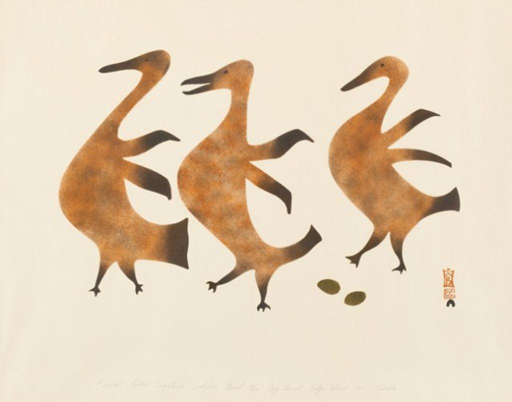 Tikitu Qinnuayuak (1908-1992) - Female Eiders Frightened, 1960 #65, stencil, 8/50, 17.25 x 22 in, 43.8 x 55.9 cm sight, 24 x 28.75 in, 61 x 73 cm framed