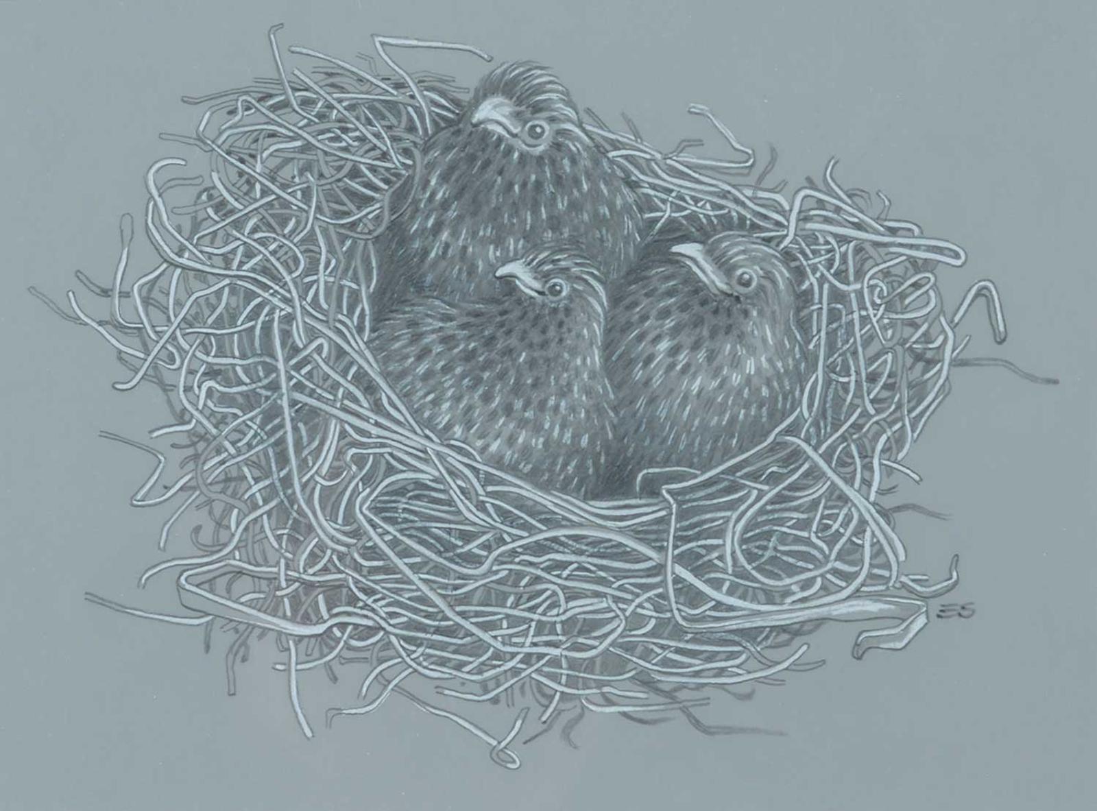 Ernest Schweibert - Birds Nest