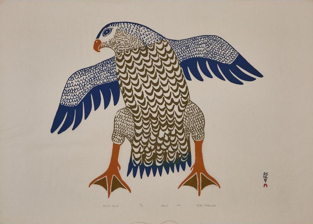 Peter Pitseolak (1902-1973) - Baffin Hawk