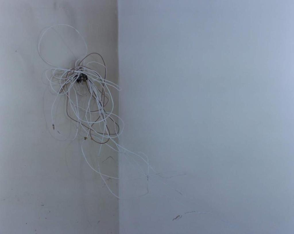 Evan Lee (1975) - Untitled- Wires