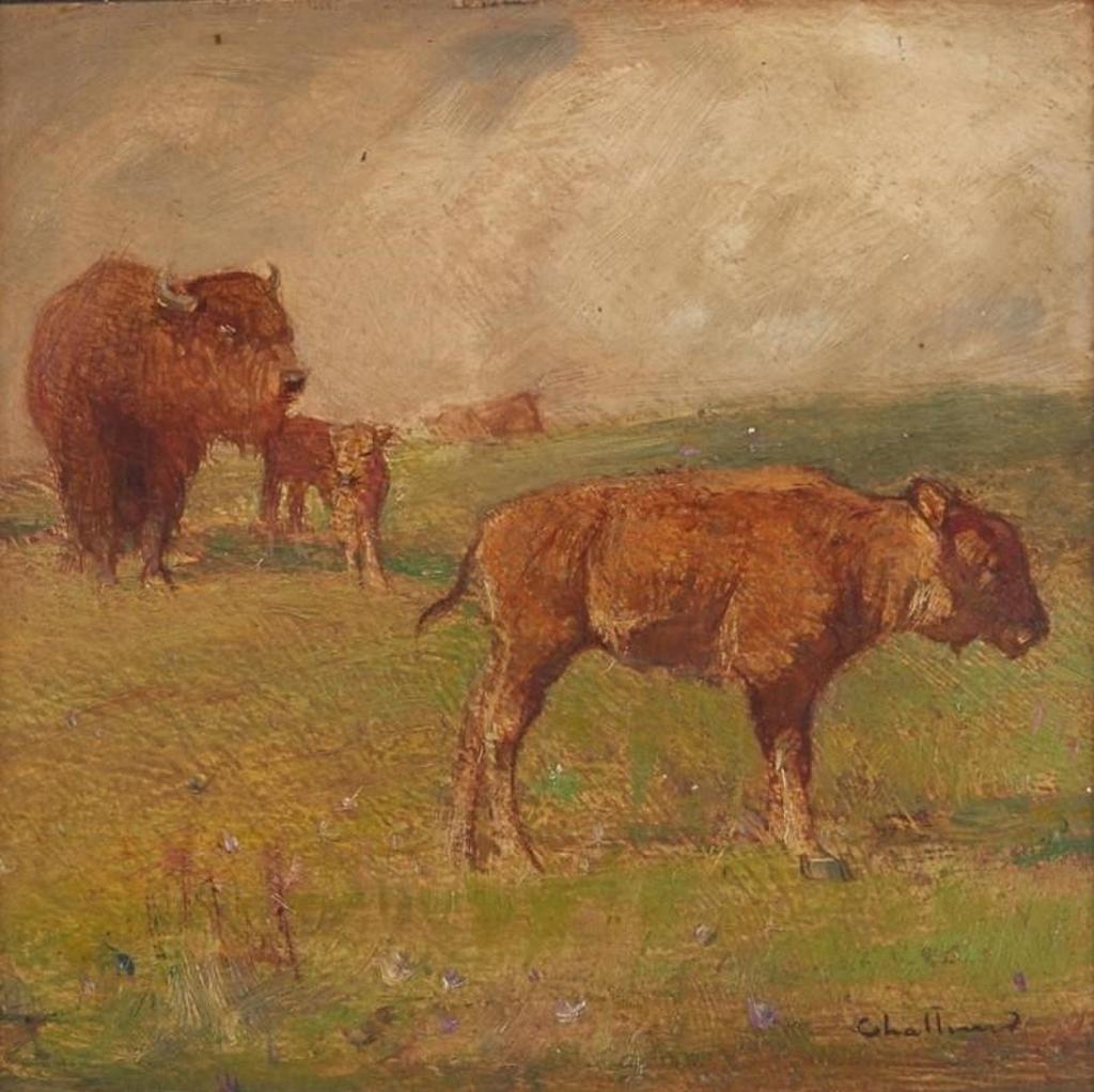 Frederick Sproston Challener (1869-1958) - Cows at Pasture