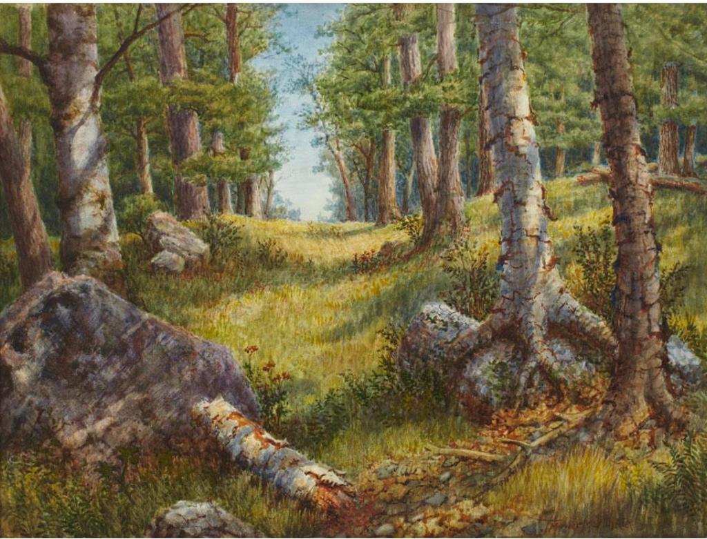 Thomas Mower Martin (1838-1934) - Canada’S Woodland