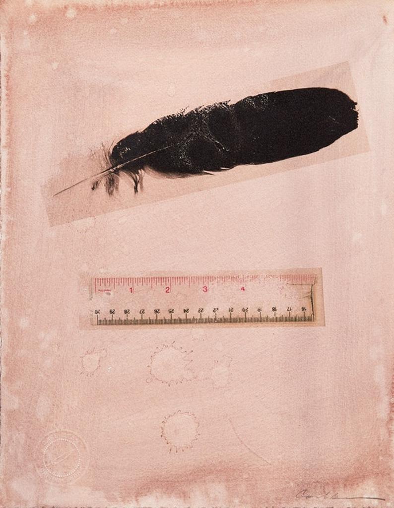 Carl Beam (1943-2005) - Untitled (Feather and Ruler)