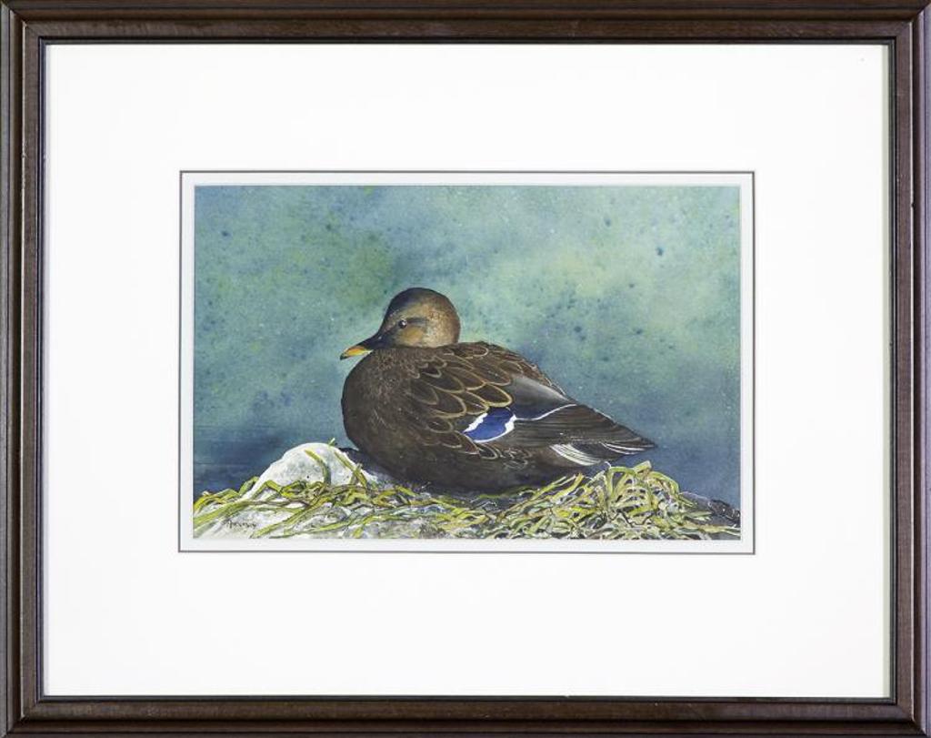 Ches Anderson (1928-2018) - Untitled - Duck Nesting