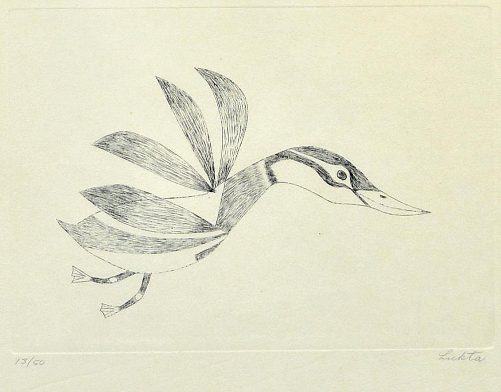 Lukta Qiatsuk (1928-2004) - Seabird