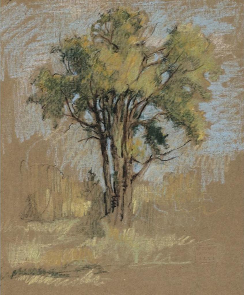Paul Archibald Octave Caron (1874-1941) - Tree Study
