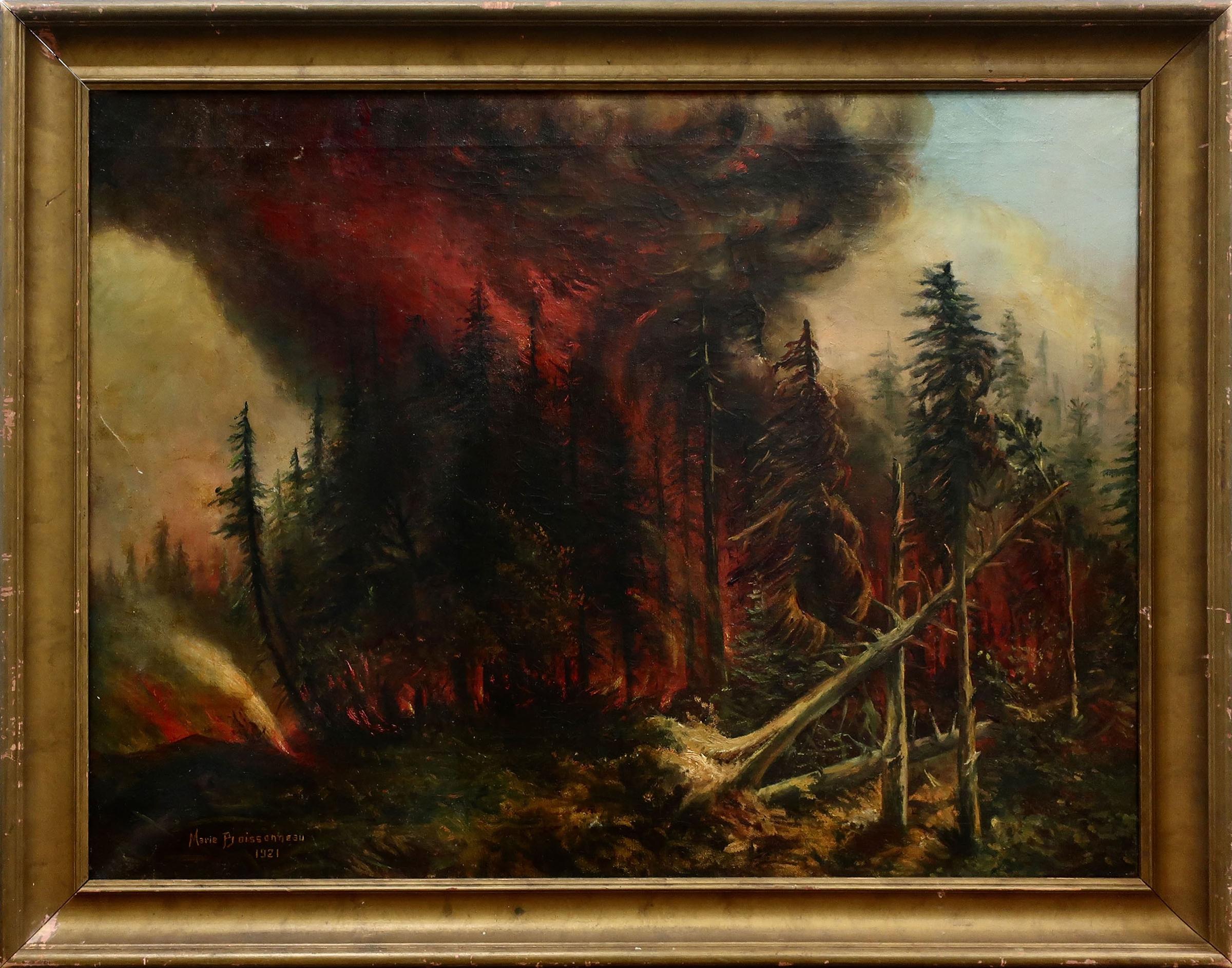 Marie Boissonneau - Untitled (Forest Fire)