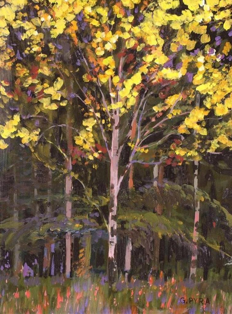 Gregory Greg Pyra (1957) - Bragg Creek, Ab; 2016