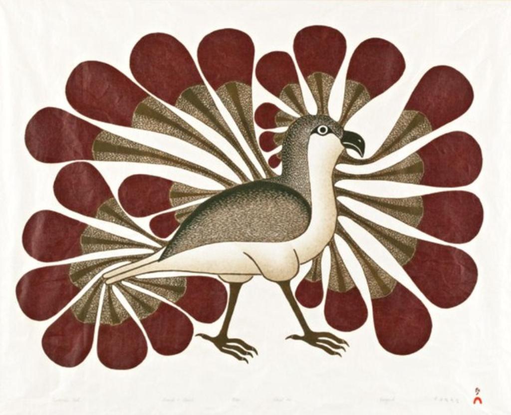 Kenojuak Ashevak (1927-2013) - Audacious Owl, 1993 #16, stonecut and stencil, 49/100, 22 x 27.25 in, 55.9 x 69.2 cm sight, 29.25 x 34.25 in, 74.3 x 87 cm framed