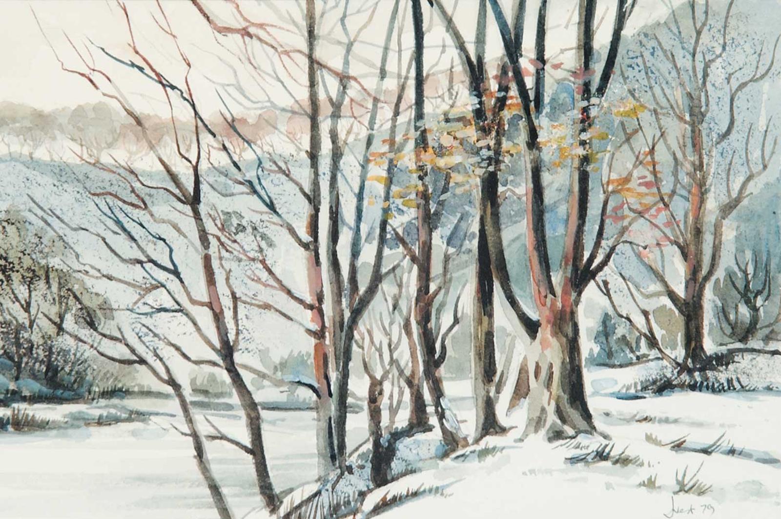 Jim Vest (1939) - Untitled - Winter Creek