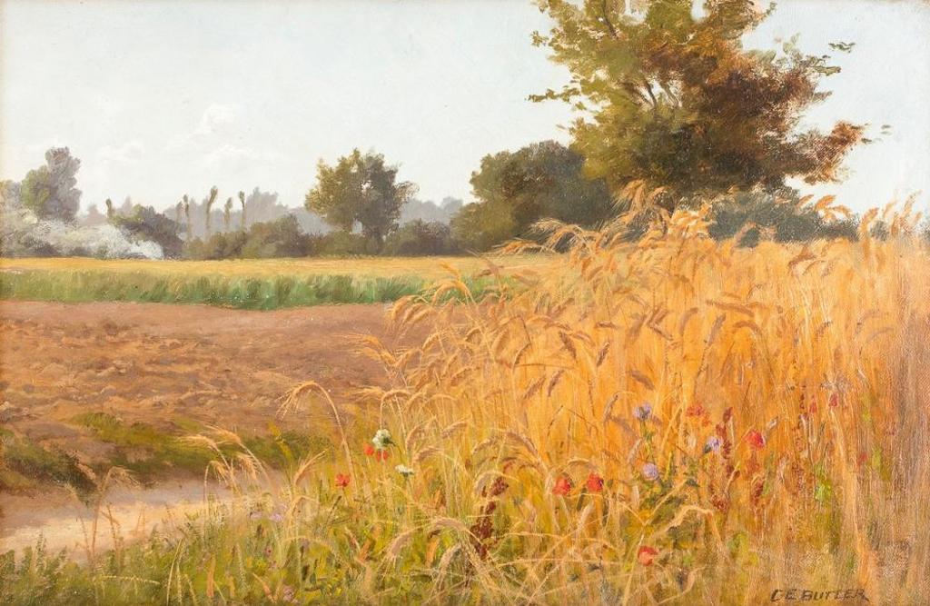 Charles Ernest Butler (1864-1933) - Field