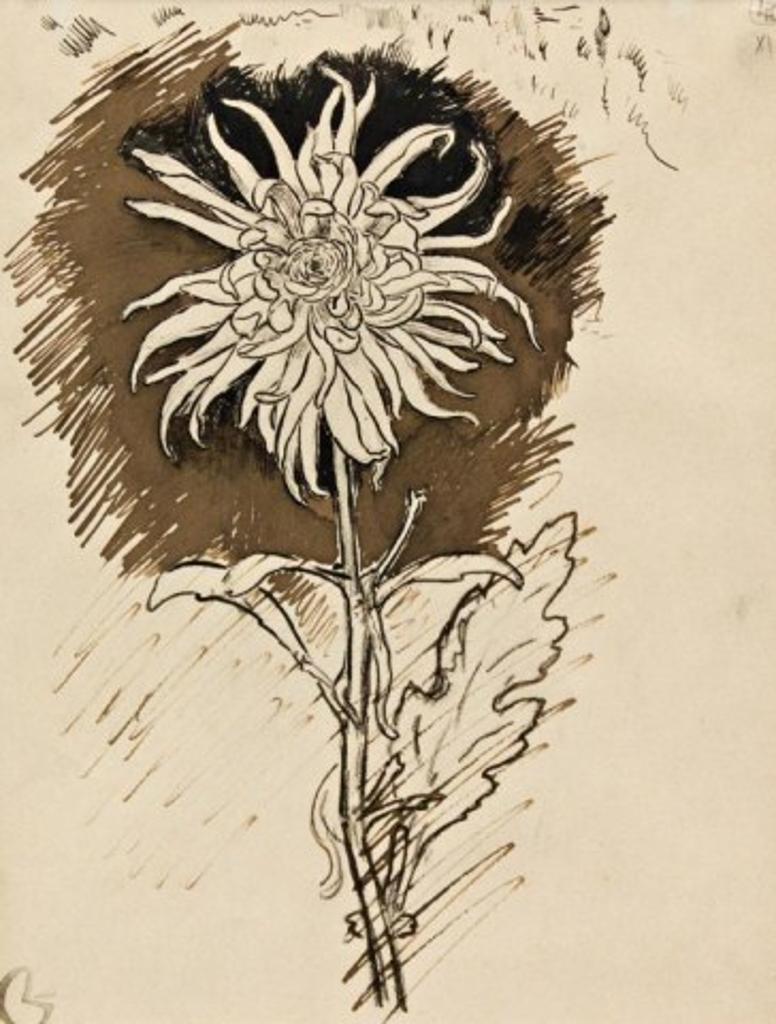 Georges Lacombe (1868-1916) - Flower Study