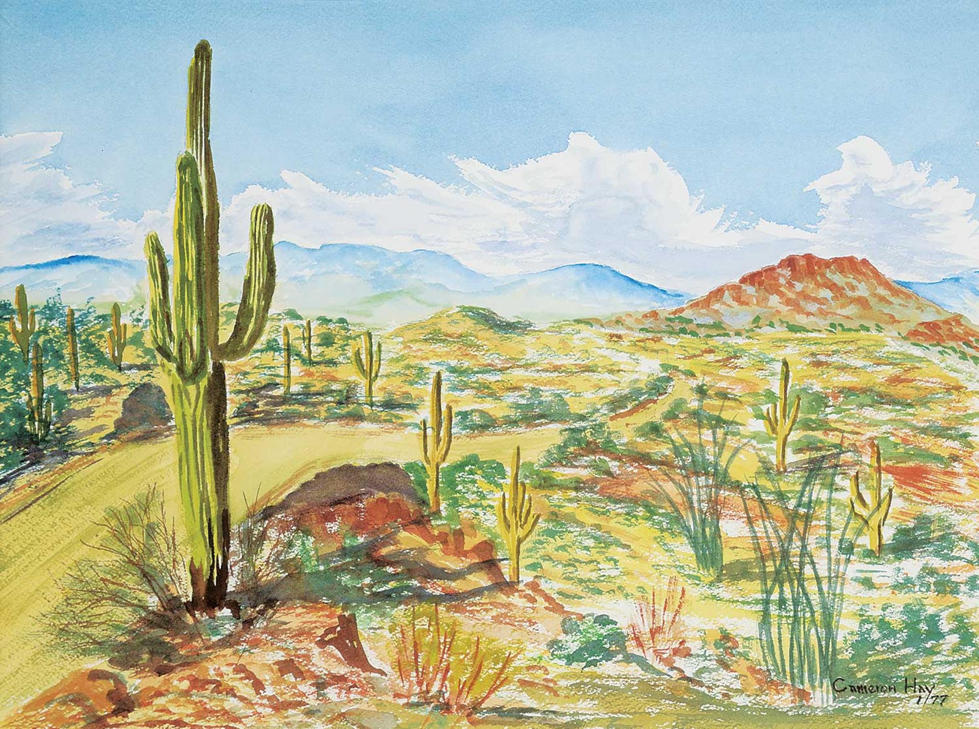 Cameron Hay - Untitled - Day in the Desert