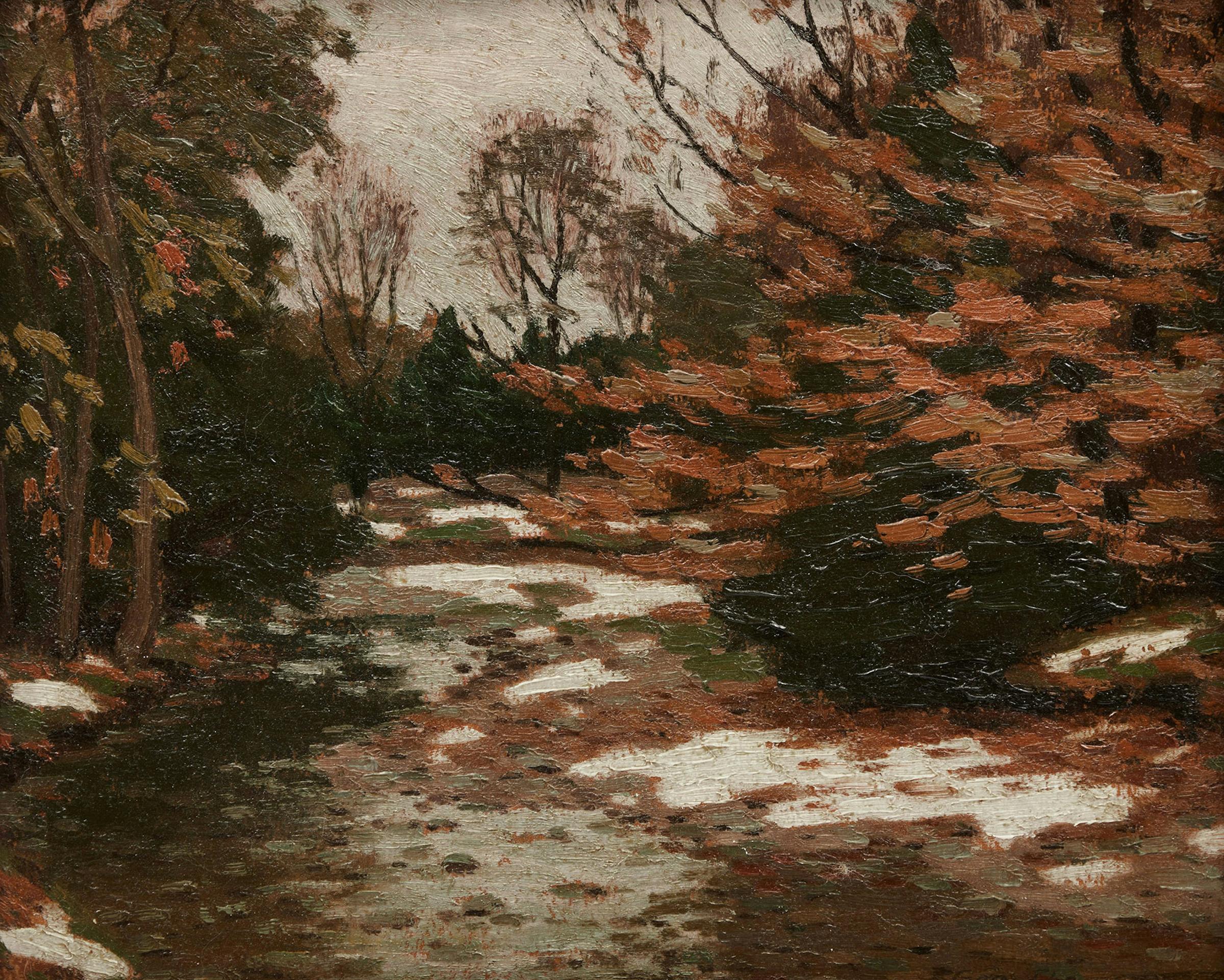 George Albert Thomson (1868-1965) - Untitled (Forest Interior)