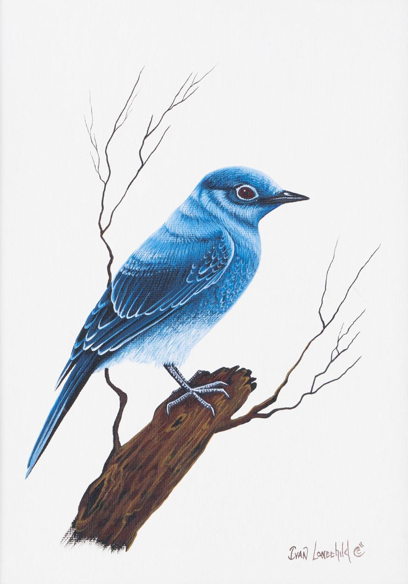 Ivan C. Lonechild (1953) - Untitled - Bluebird