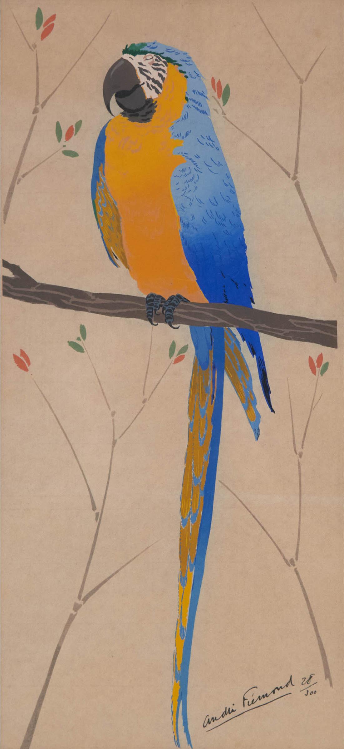 Andre Frémond - Untitled (Blue And Yellow Macaw)