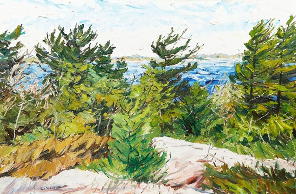 Bruce Steinhoff (1959) - Three Mile Point, Georgian Bay