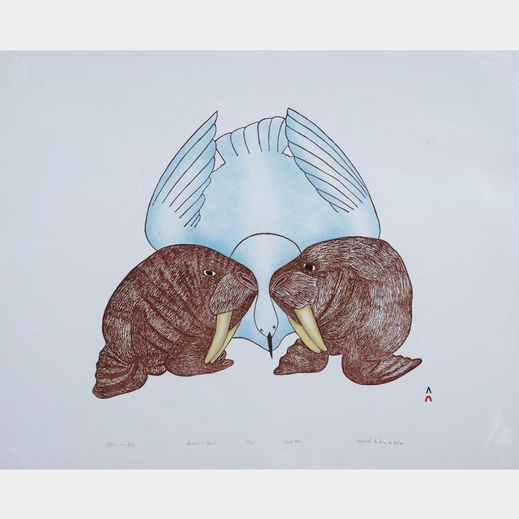 Mayureak Ashoona (1946) - Walrus And Bird