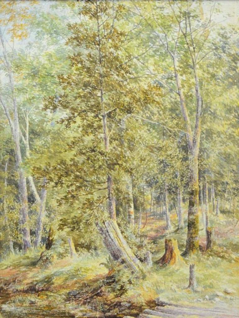 Henry Harold Vickers (1851-1918) - Woodland Scene