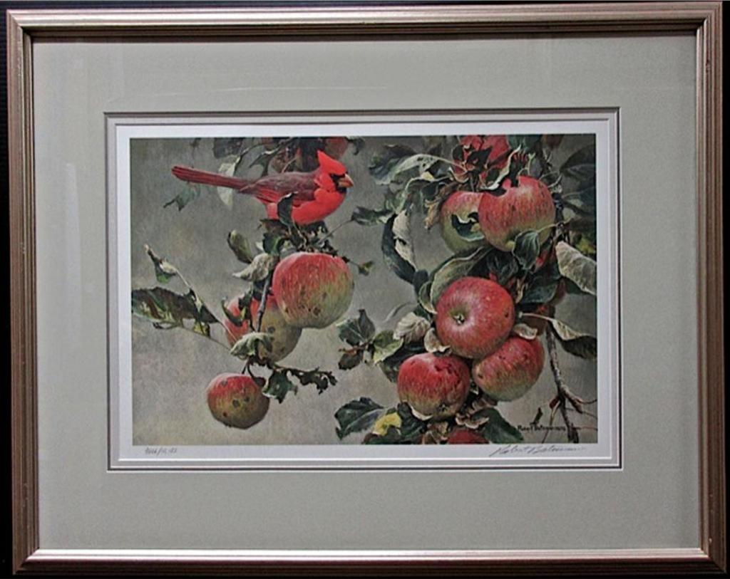 Robert Mclellan Bateman (1930-1922) - Cardinal And Wild Apples