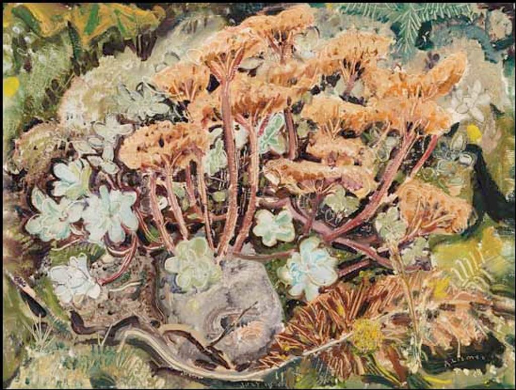 Arthur Lismer (1885-1969) - Flowers of the Forest, BC