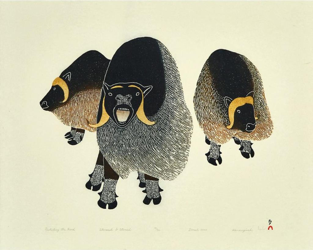 Kananginak Pootoogook (1935-2010) - Protecting The Herd