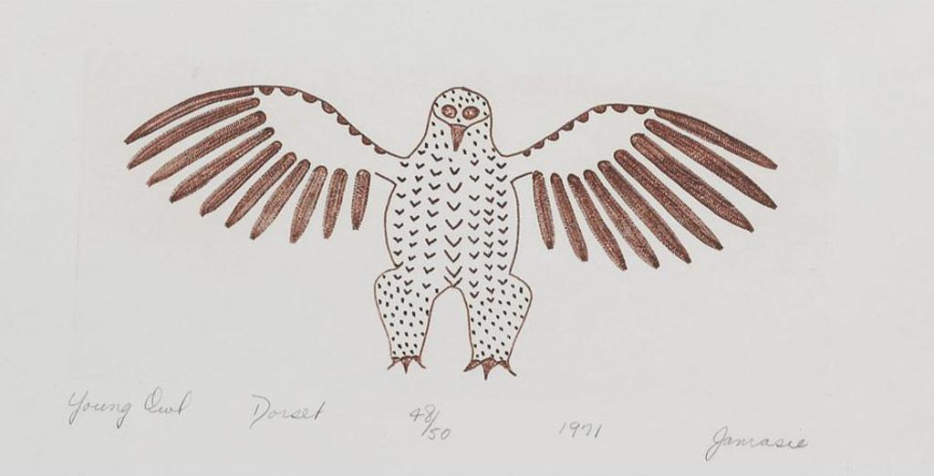 Jamasie Teevee (1910-1985) - Young Owl