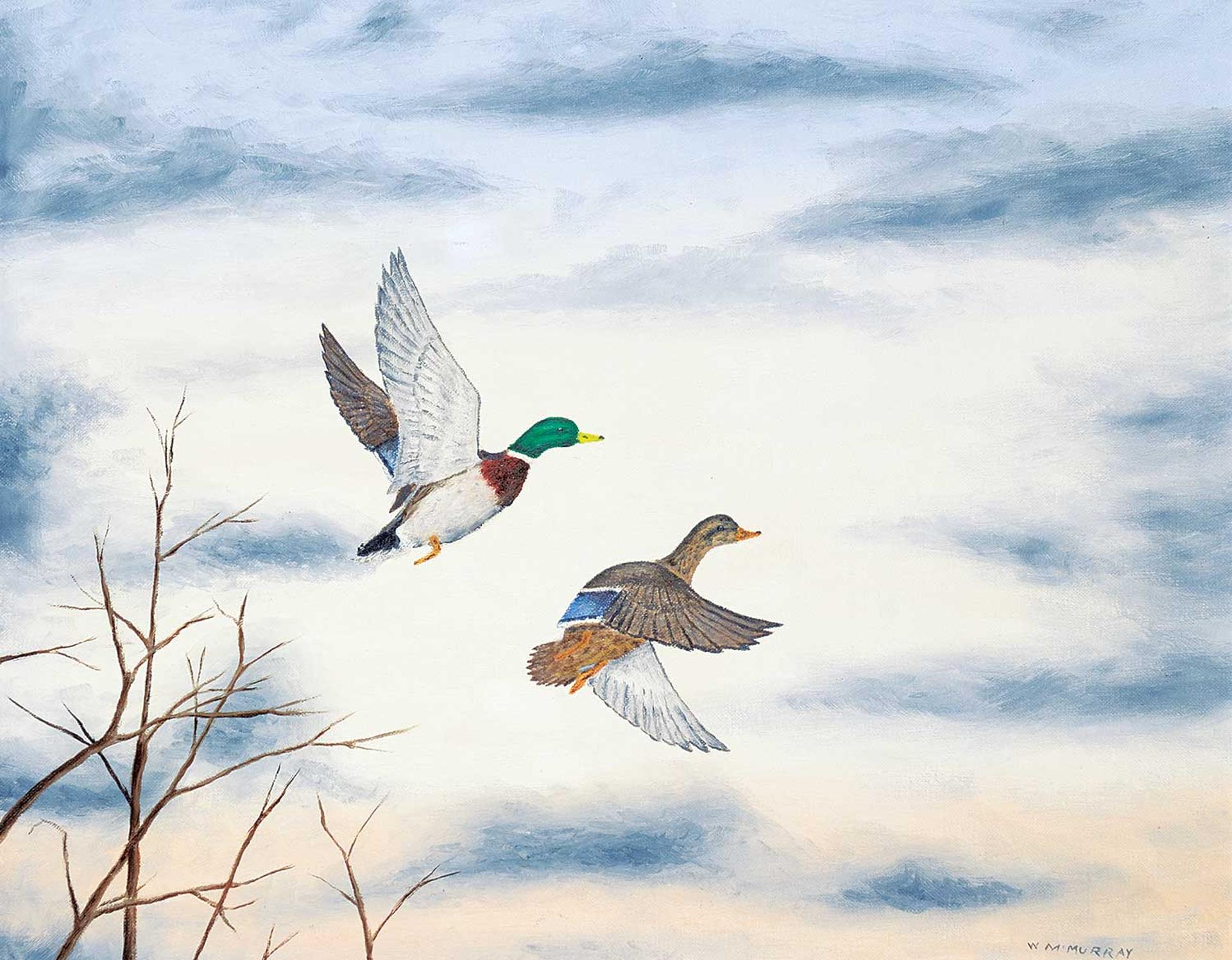 William McMurray - Mallards