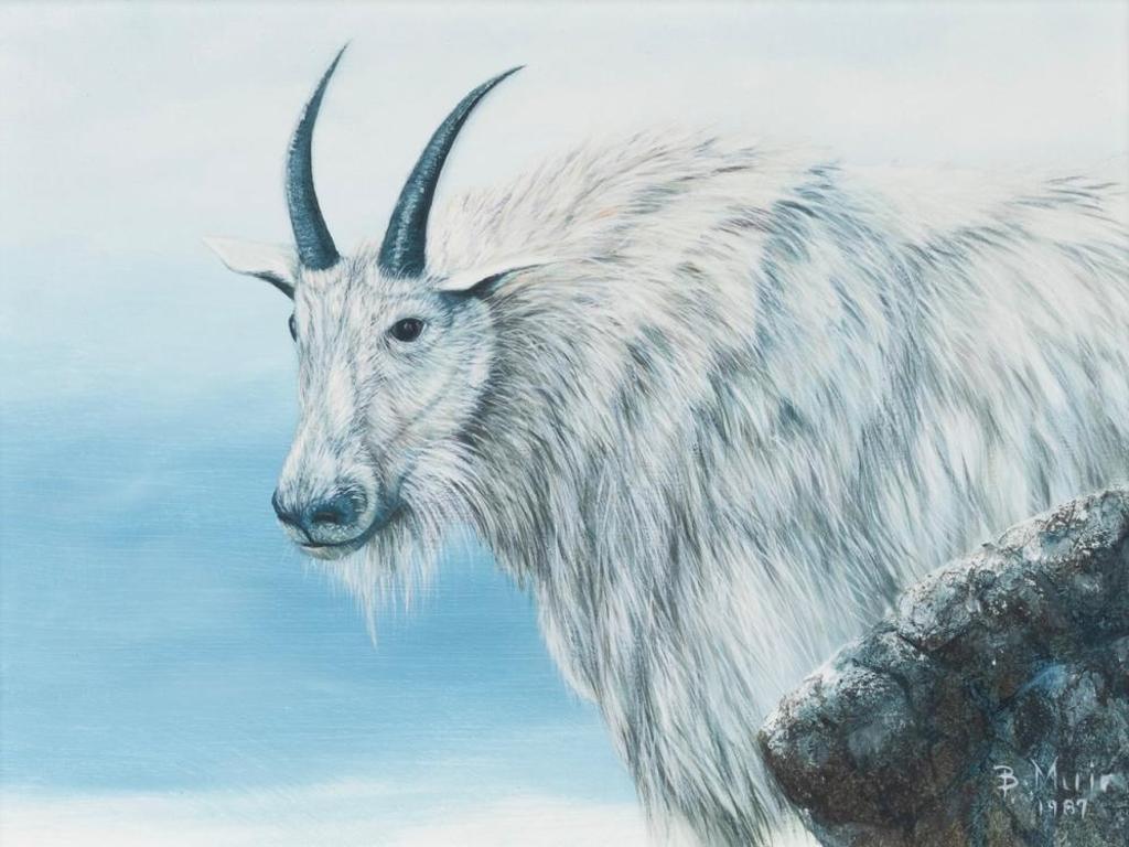 Bruce Muir (1953) - Mountain Goat