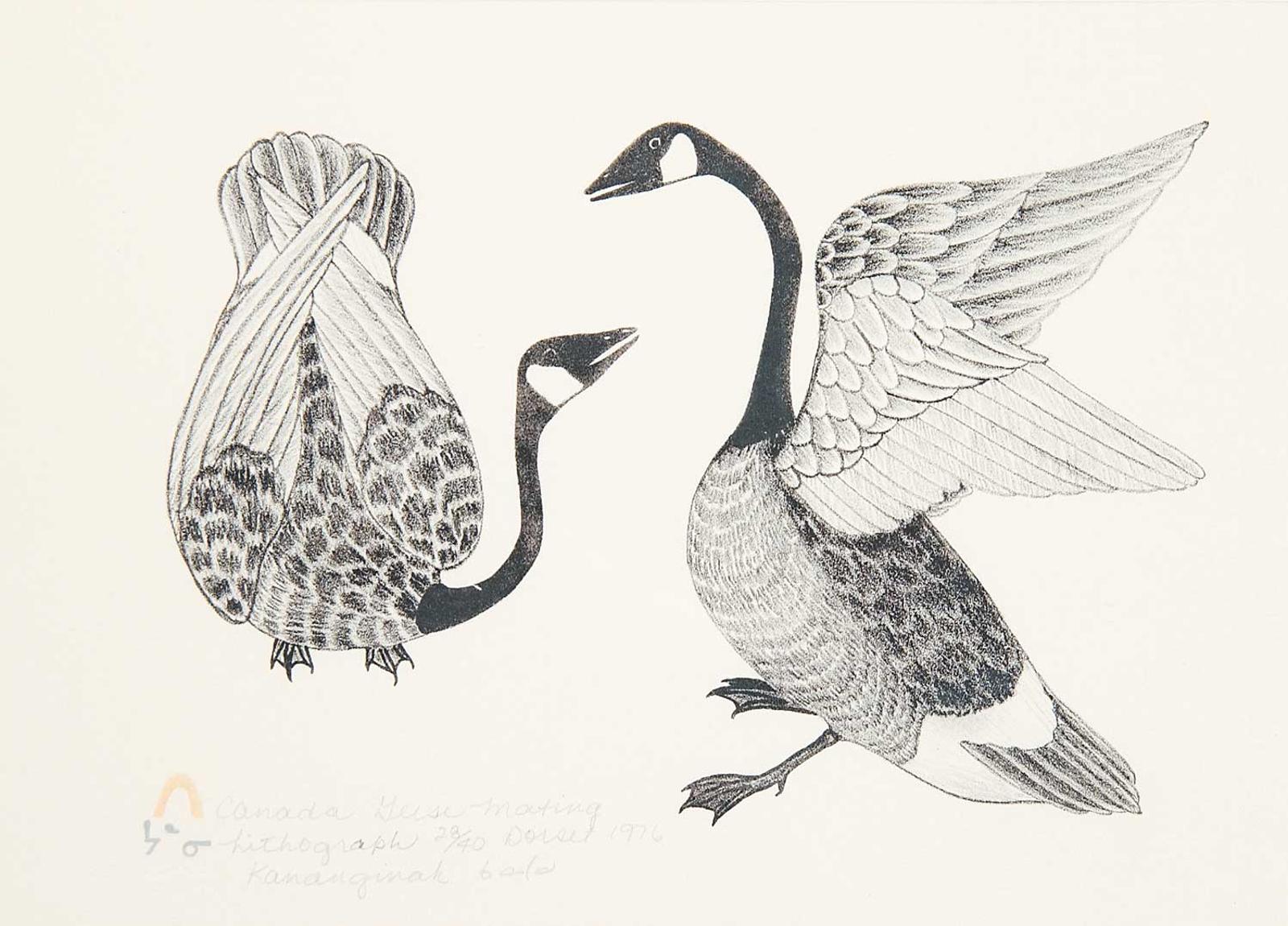 Pootoogook (1887-1958) - Canada Geese Mating  #28/40