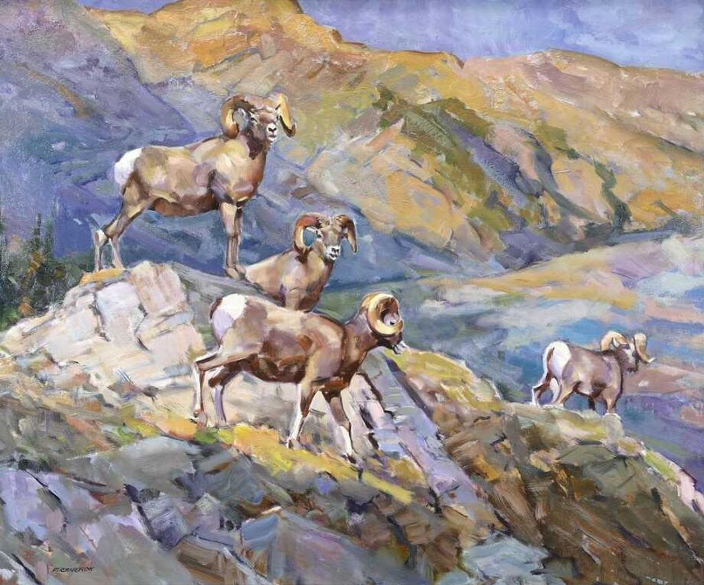 Fred Cameron (1937) - Wilcox Pass