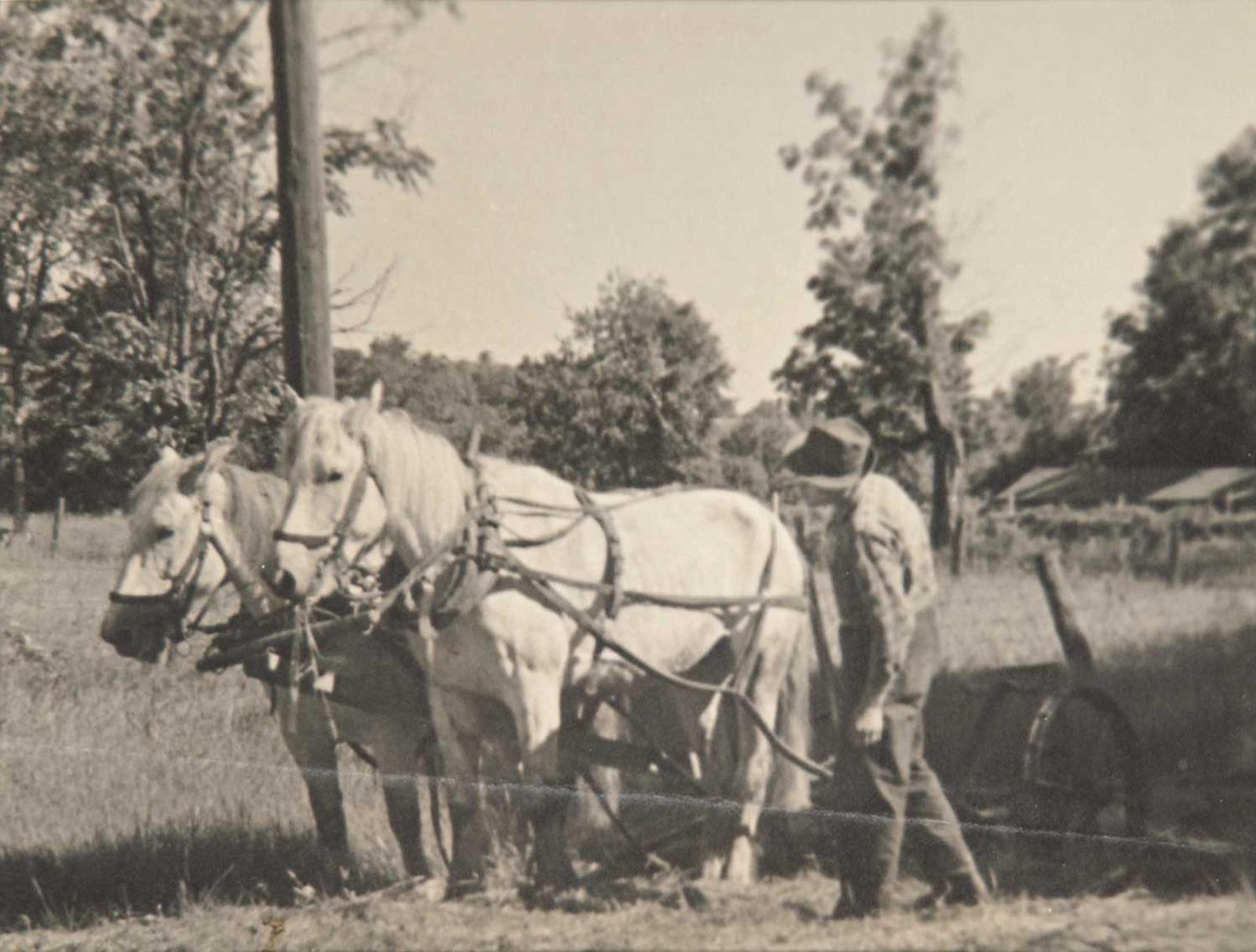 Francis Hans (Franz) Johnston (1889-1949) - A Farmer Observing his Horses