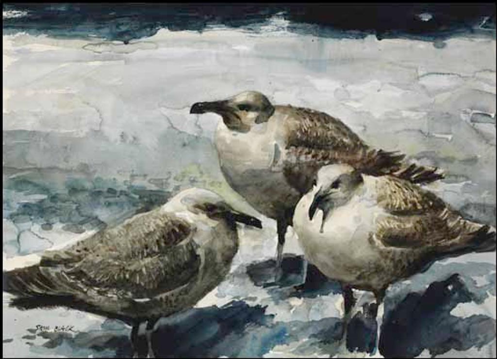Sam Black (1913-1998) - Three Seagulls