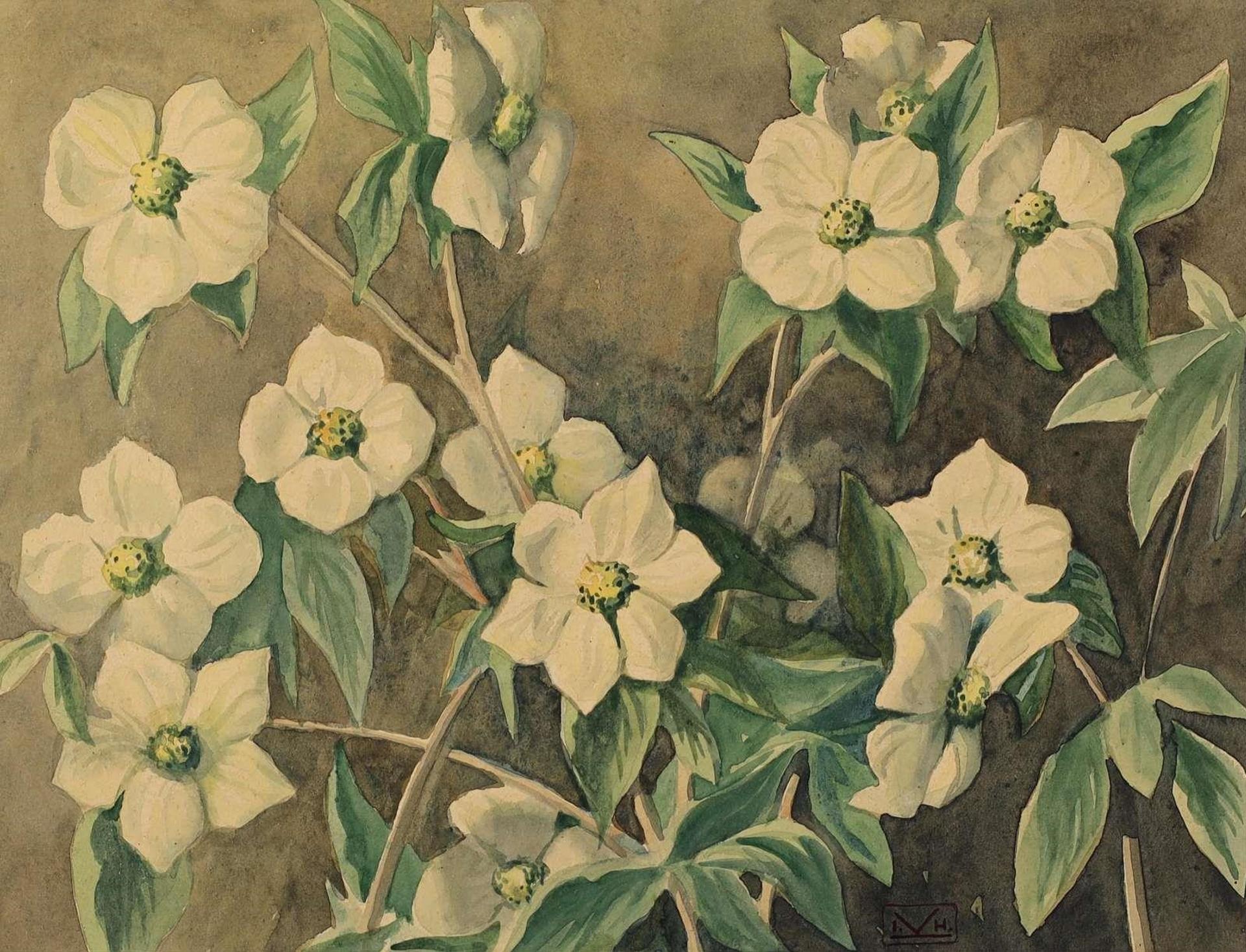 Illingworth Holey (Buck) Kerr (1905-1989) - Dogwood Flowers